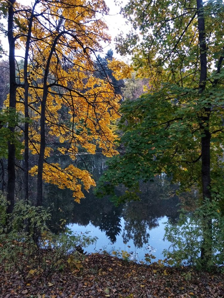 Photo #9581603