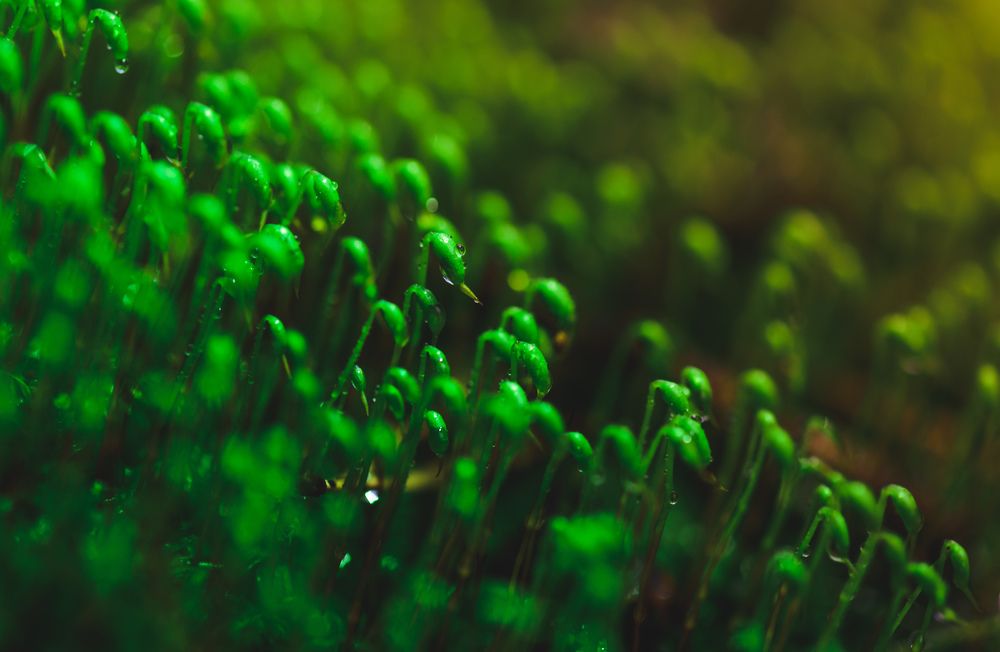 Photograph by Антон Бойков