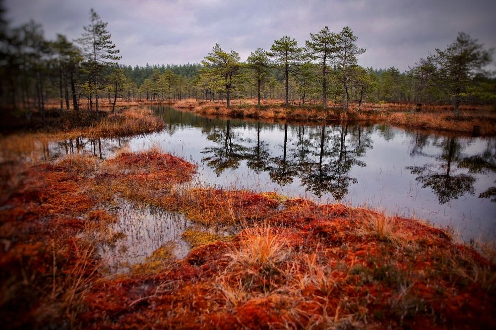 Photograph by Ольга Одаренко