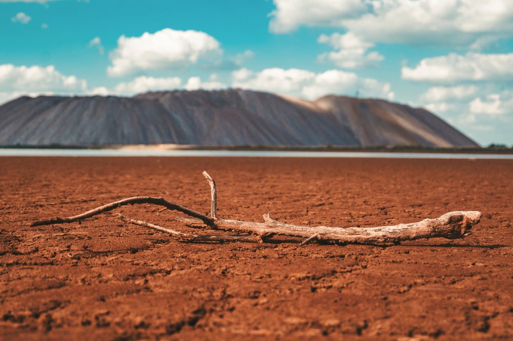 Фотография автора Татьяна Грунтович
