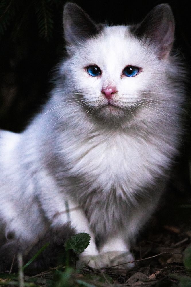 Photograph by Victoria Popkova