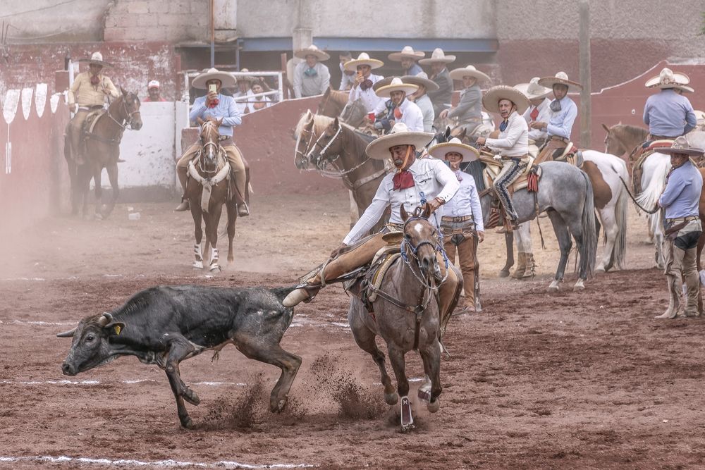 Photograph by Aлена Плясова