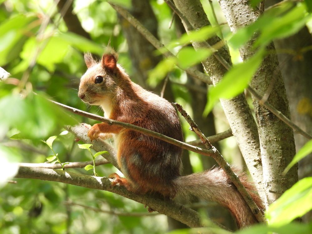 Photograph by Георгий Салюков