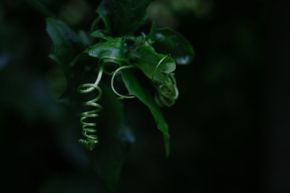 Фотография автора Дарина Фельдман