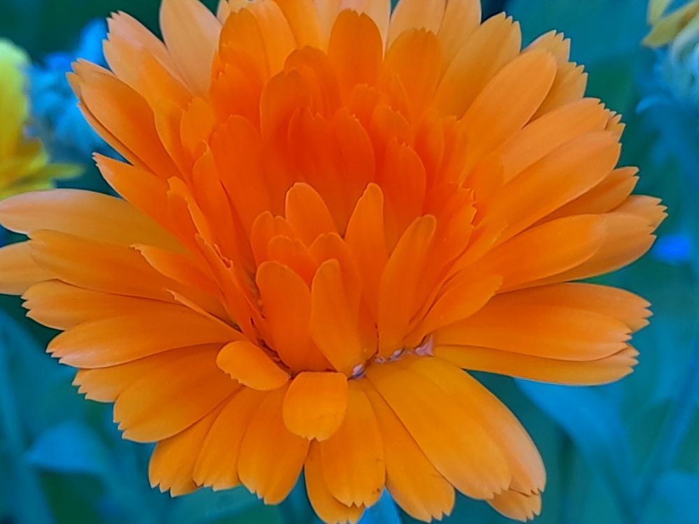 Photograph by Ольга Березовская