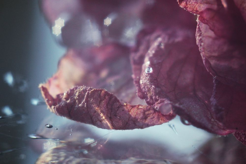 Фотография автора Дарина Фельдман