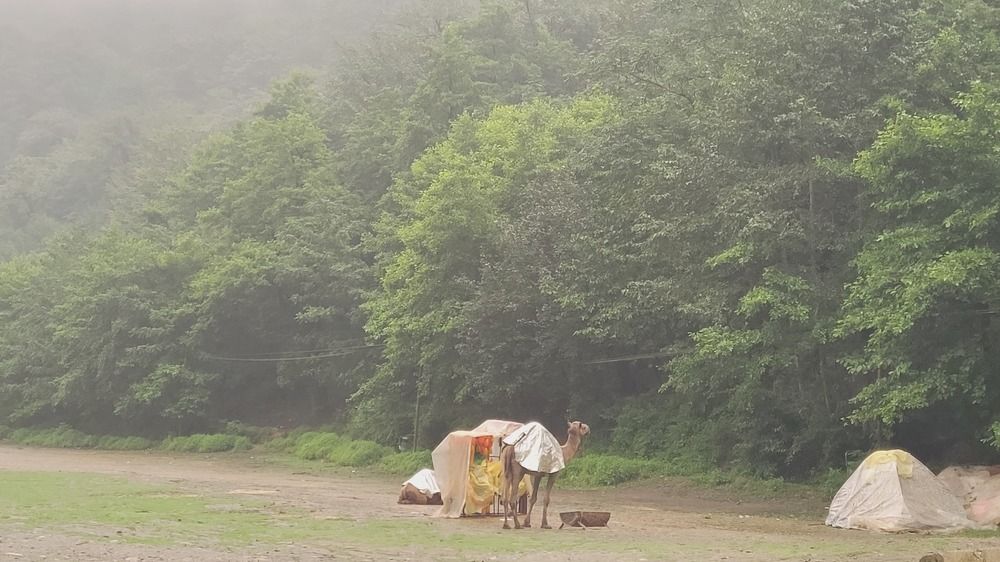 Photograph by Rahele Almassi