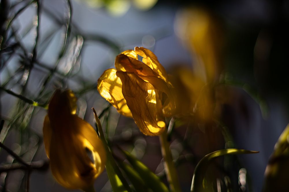 Фотография автора Дарина Фельдман