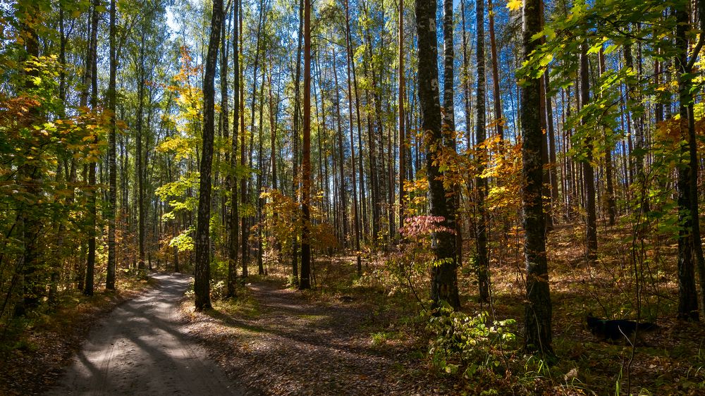 Photograph by Вячеслав