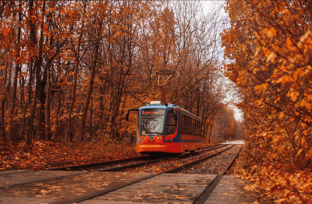 Photograph by Валерия