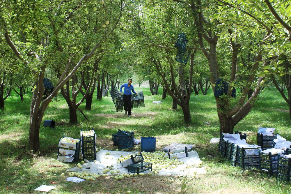 Фотография автора Vahid Basiri