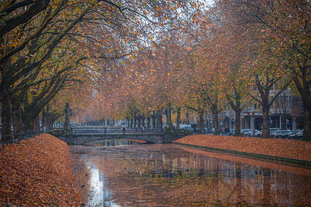 Осенний Дюссельдорф