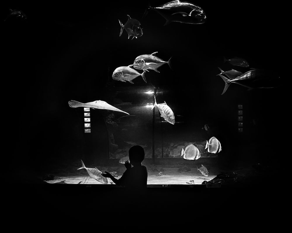 Фотография автора Наталья Новикова