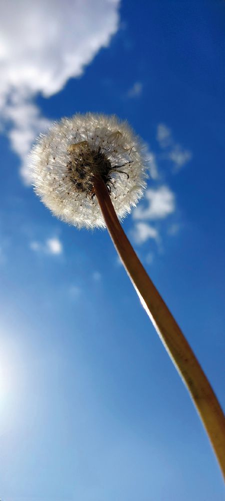 Photograph by Brigita Lehoťanová