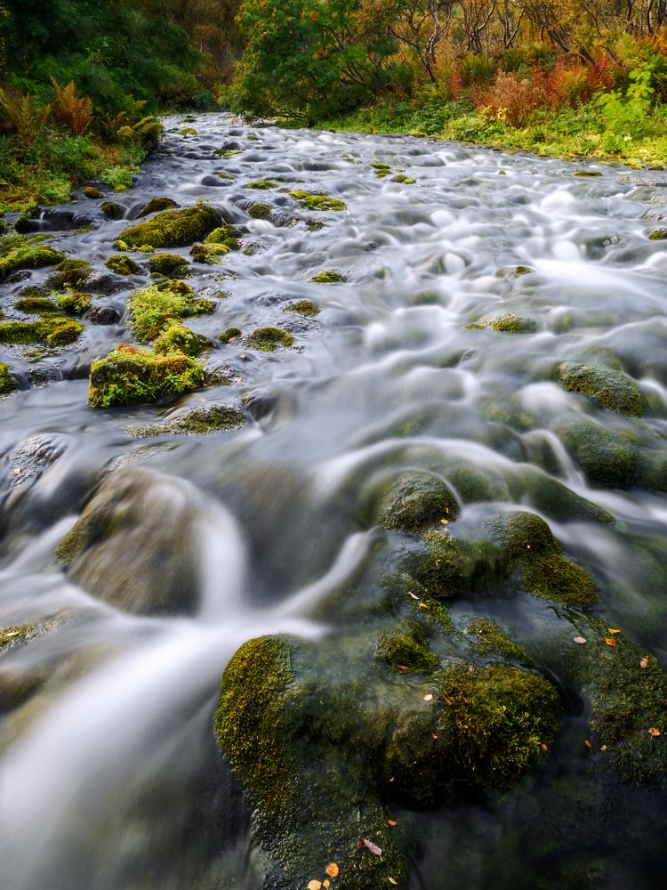 Photograph by роман фарберов