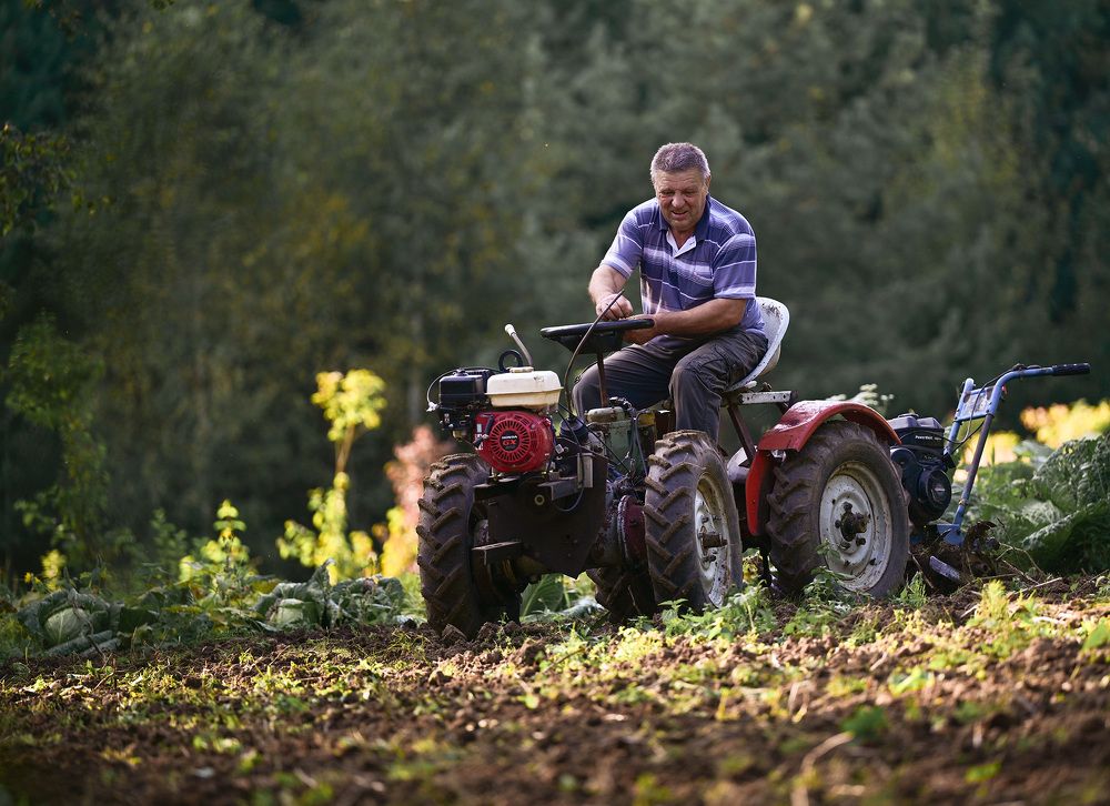 Photograph by Елена Ермакова