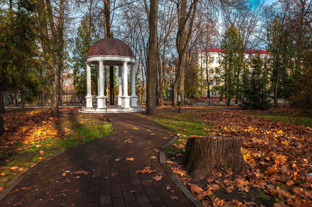 Парковый этюд