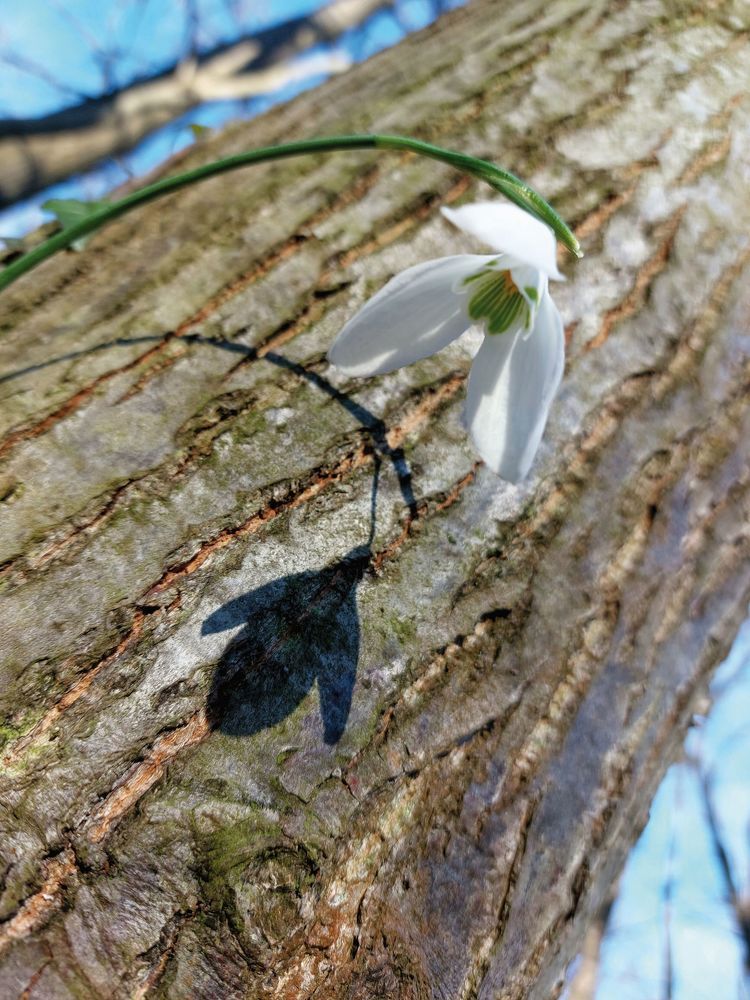 Photograph by Brigita Lehoťanová