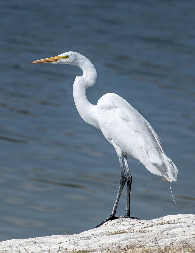 Photograph by Aлена Плясова