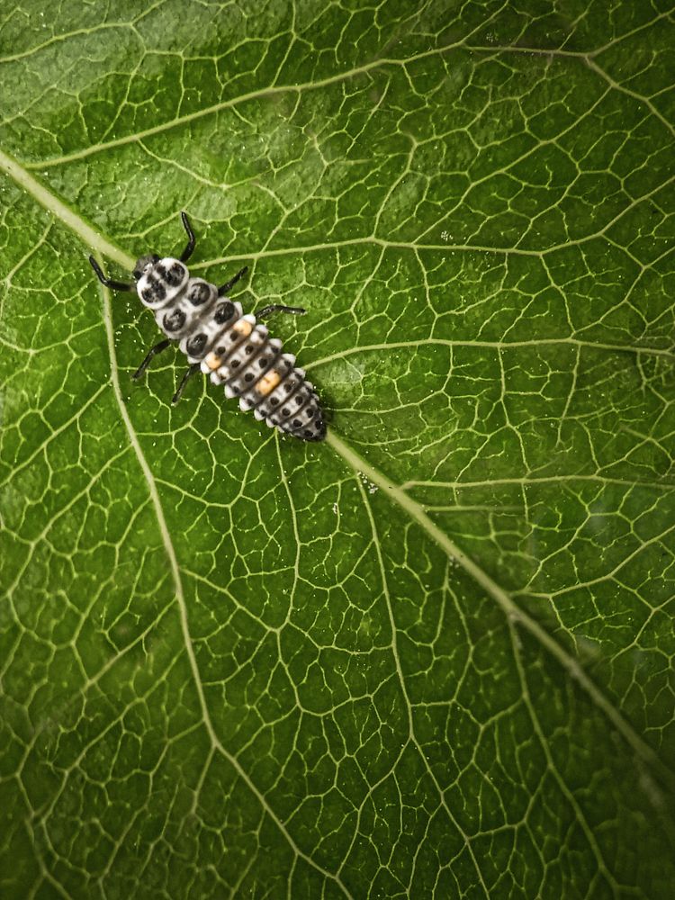 Photograph by Алексей Горин