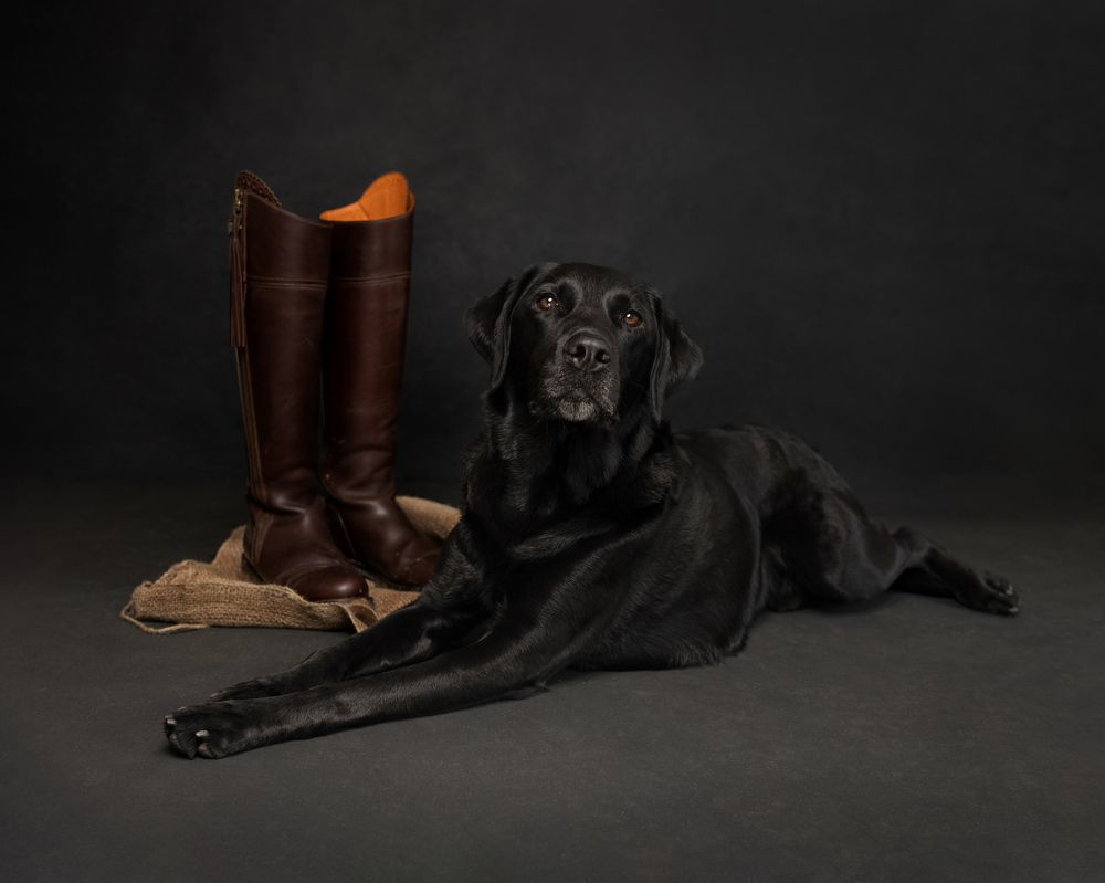 Photograph by Elena Brown