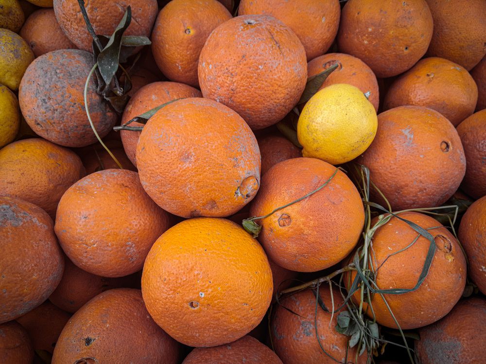 Фотография автора Nafaademmane