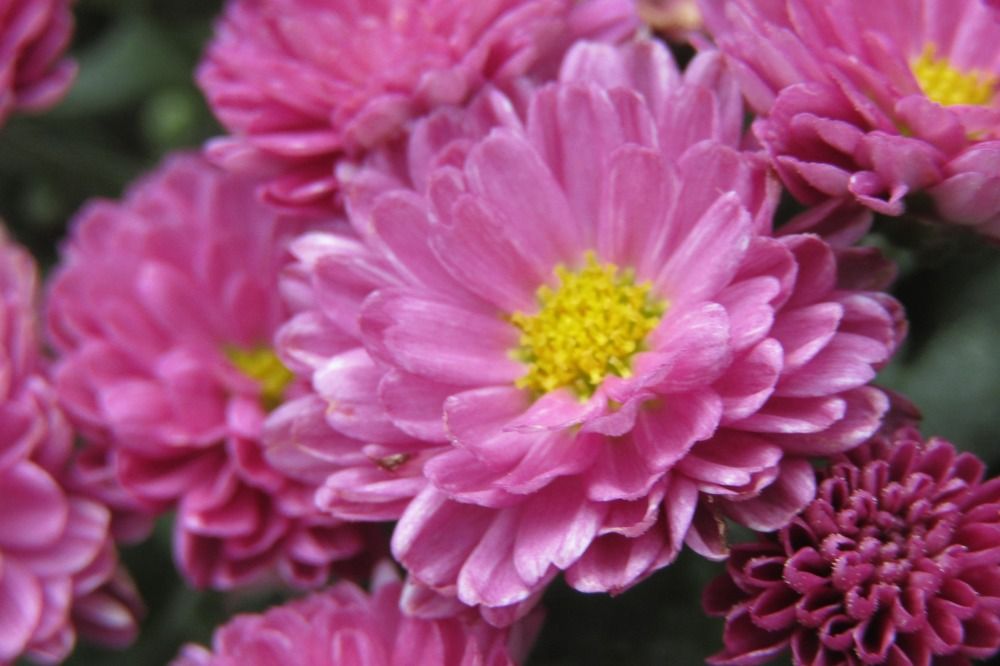 Photograph by Mary Bowman