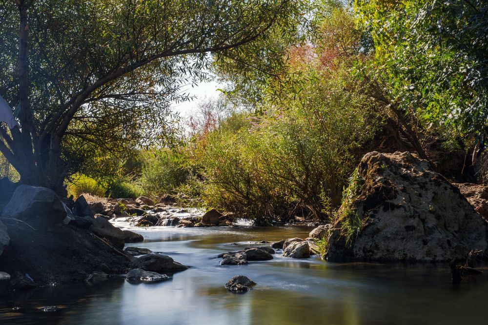 Фотография автора ameer alatar