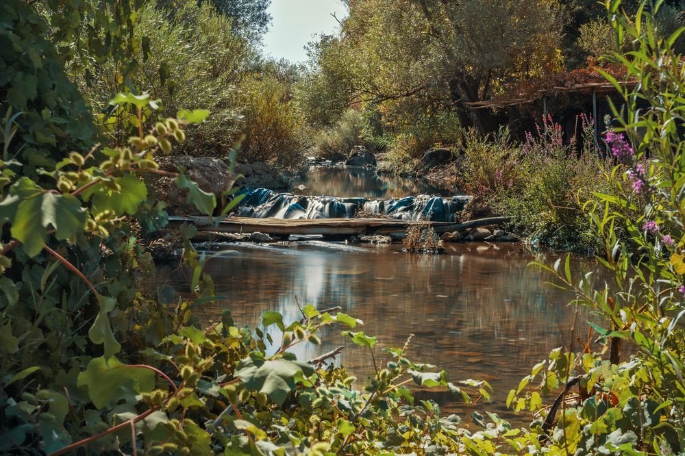 Фотография автора ameer alatar