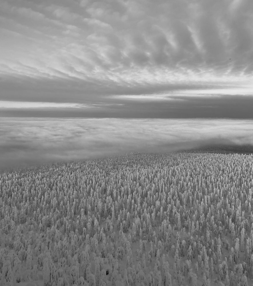 Photograph by Евгения