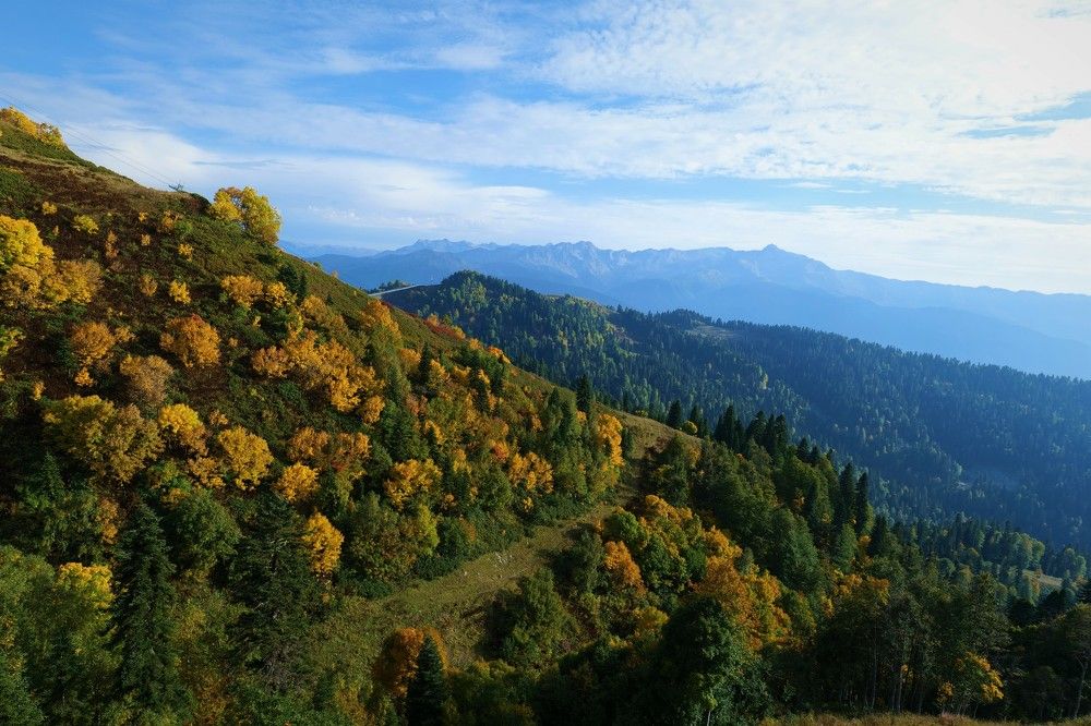 Photograph by Оксана Архипова