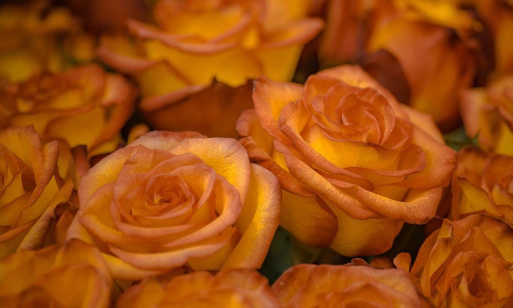 Photograph by Валерий Сарак