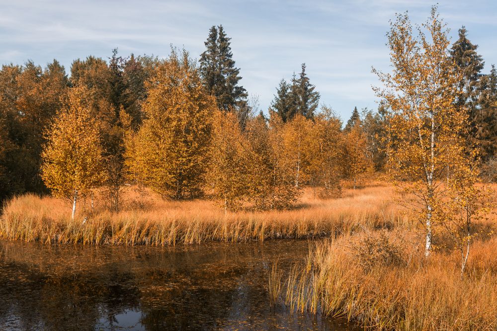 Photograph by Ирина Шумахер