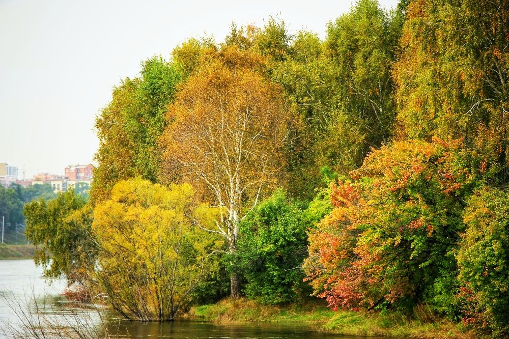 Photograph by Владимир Сушкин