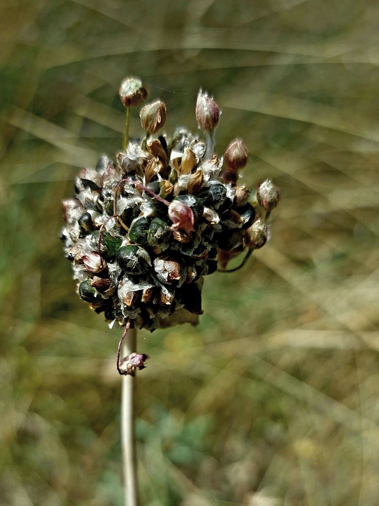 Photograph by Brigita Lehoťanová