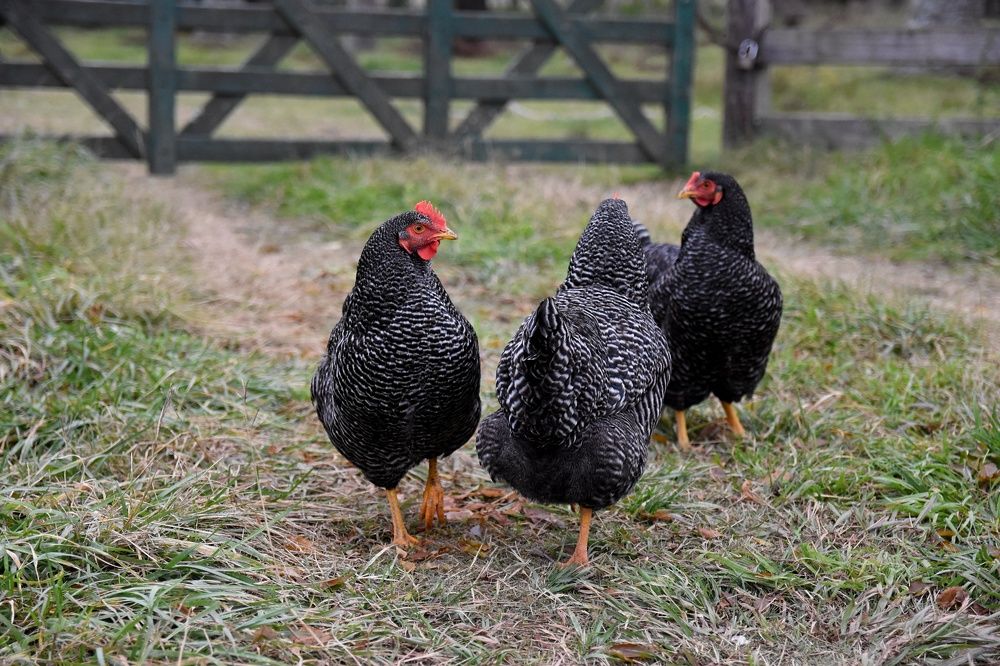 Photograph by Beatriz Games