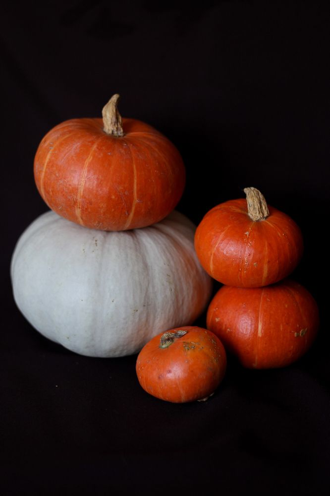 Photograph by Надежда Юшкова