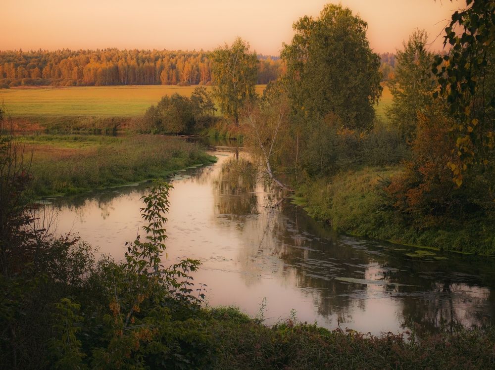Photograph by Настя Хомастя