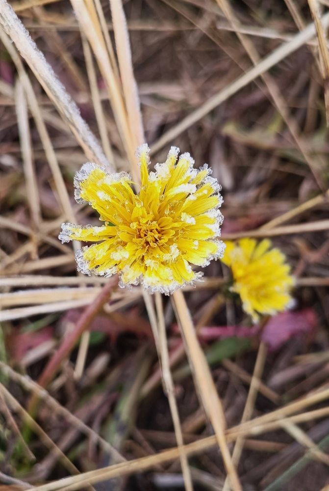 Photograph by Женя Евсеева