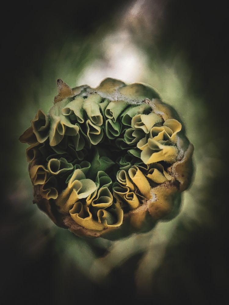 Photograph by Александра Петрова