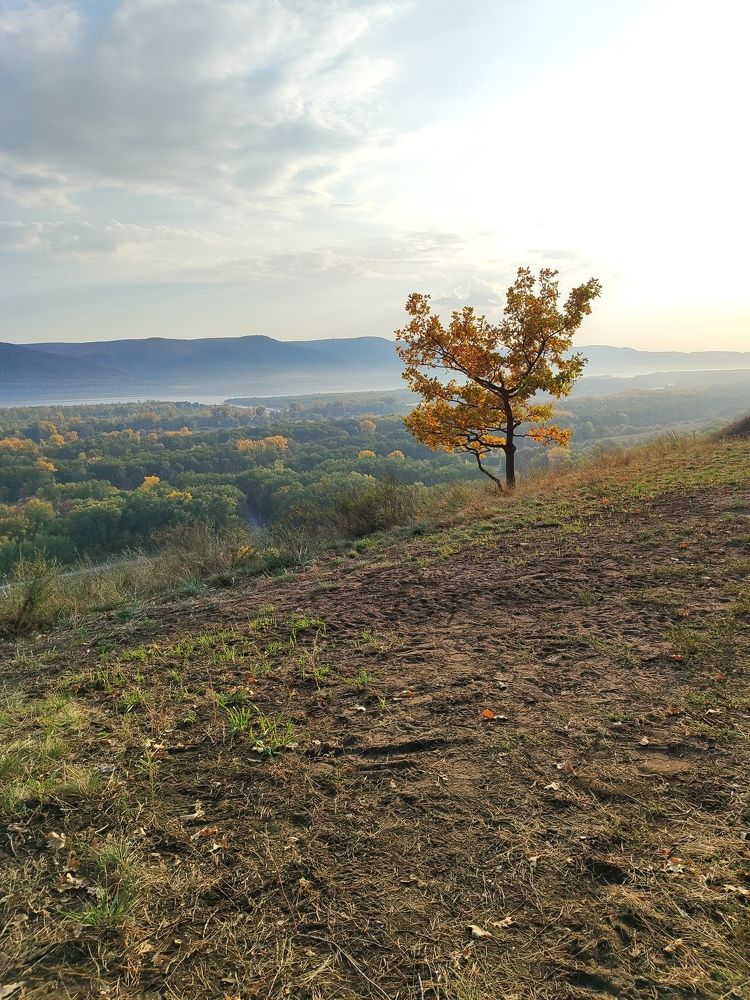 Photograph by Анастасия Зайченко