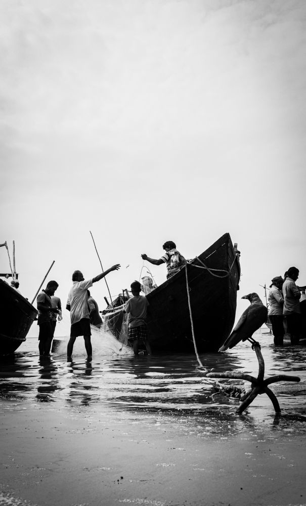 Crow seeing everything