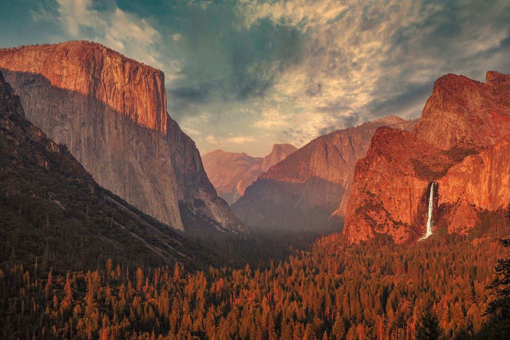 Фотография автора PIROOZ Moshavash