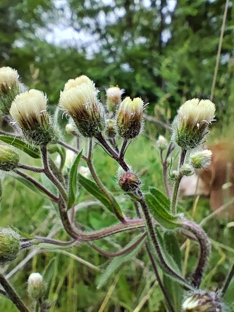 Photograph by Анастасия Зайченко