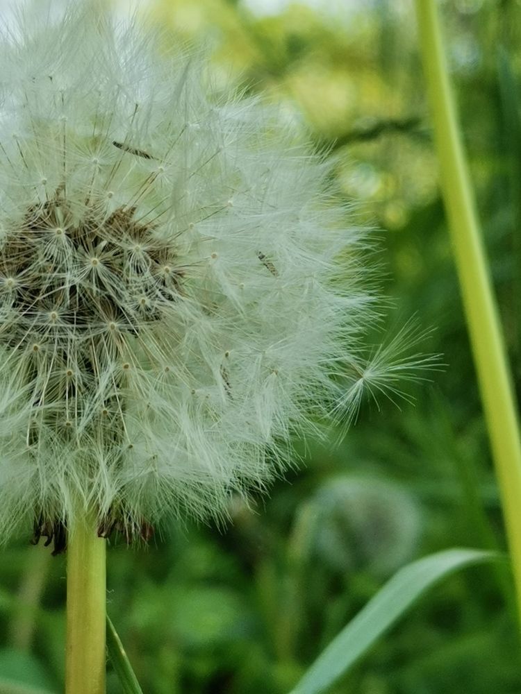 Photograph by Анастасия Зайченко