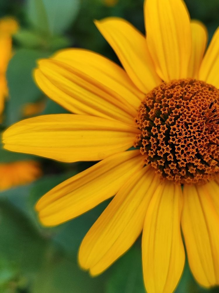 Photograph by Анастасия Зайченко