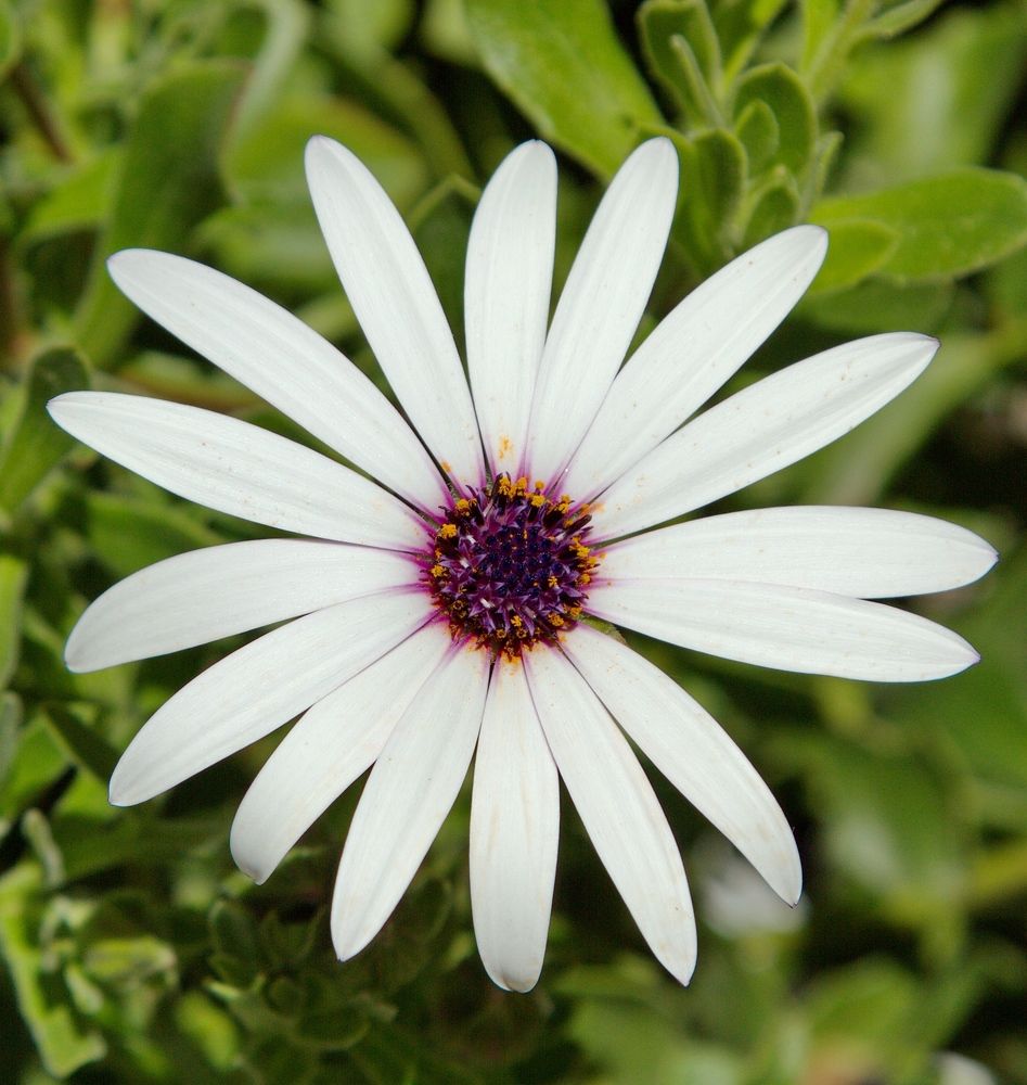 Photograph by Алексей Хазов