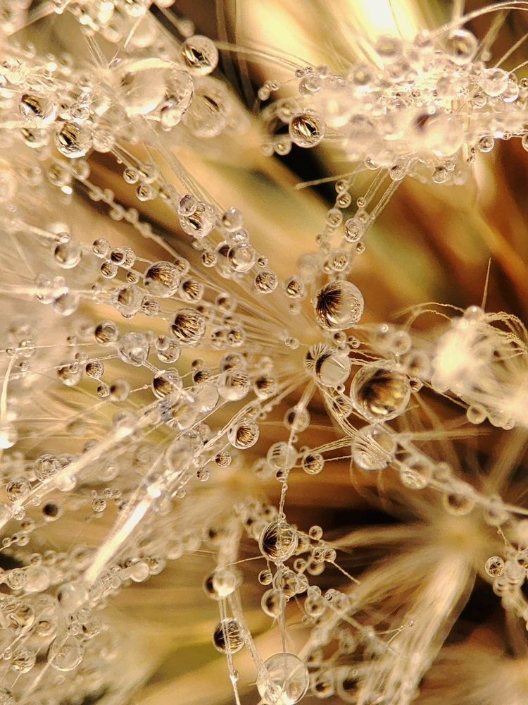 Photograph by Юлия Гинтер