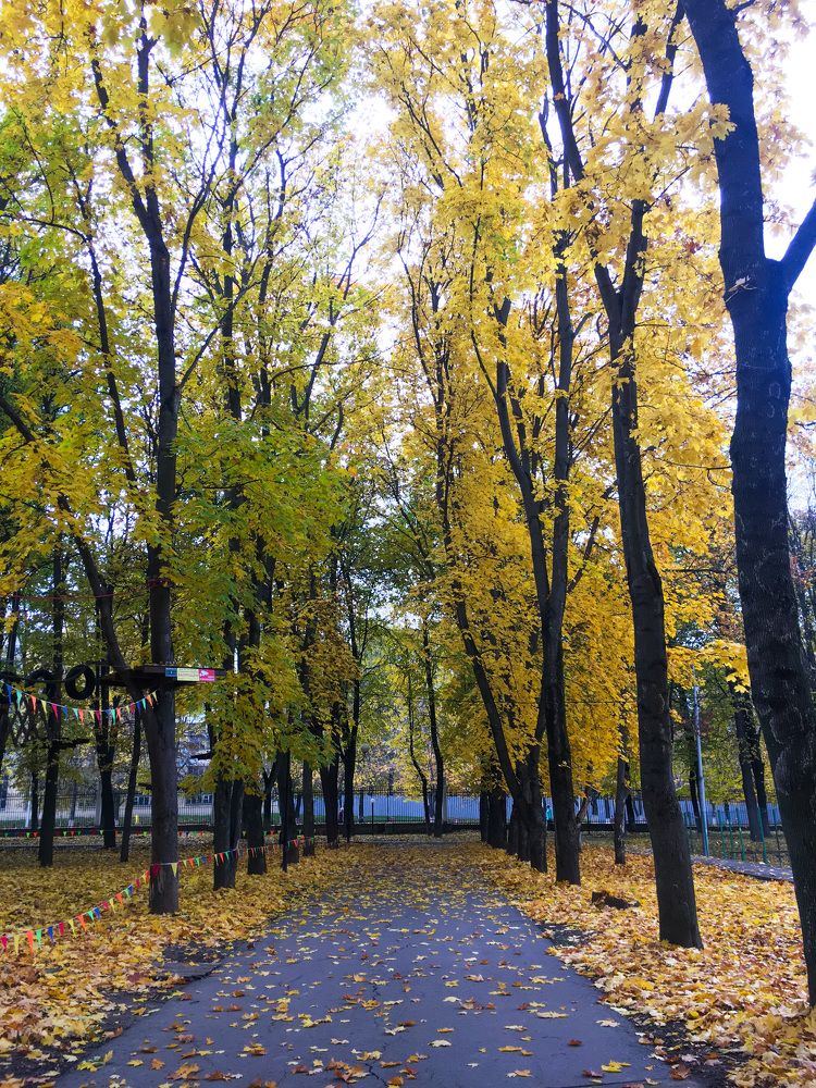 Photograph by Елизавета Большакова