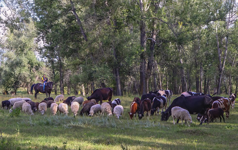 Photograph by Юрий Спасенников